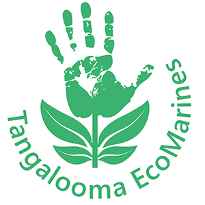 Tangalooma Ecomarines