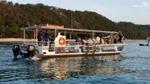 Marine Discovery Cruise Moreton Island Tangatours
