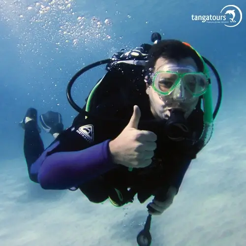 Scuba Diving Moreton Island Tangatours