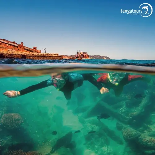 Snorkelling Tangalooma Wrecks with Tangatours