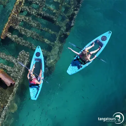 Tangatours Clear Bottom Kayak Tours Tangalooma