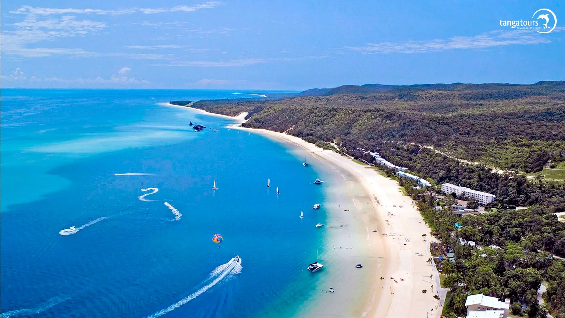 Best Cruises Tangalooma
