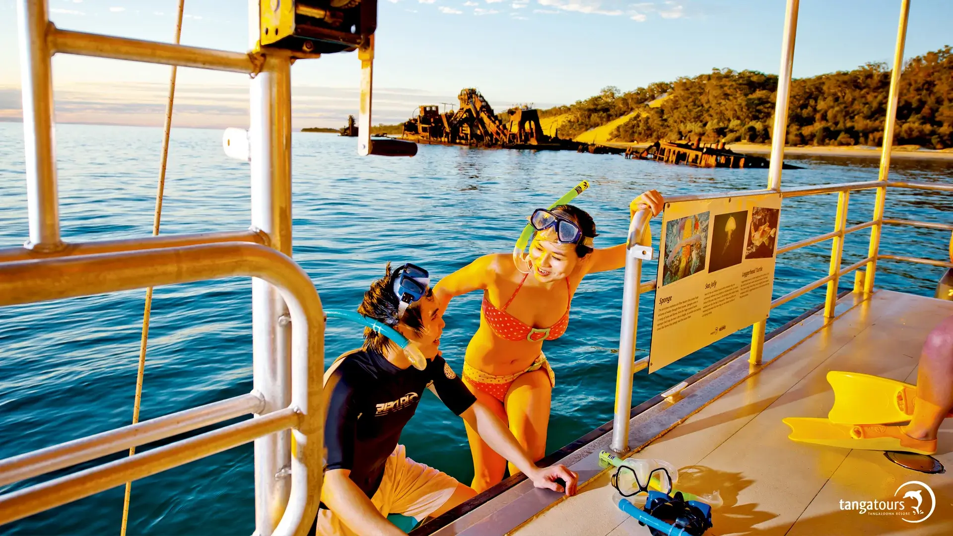 Best Wrecks Snorkelling Moreton Island