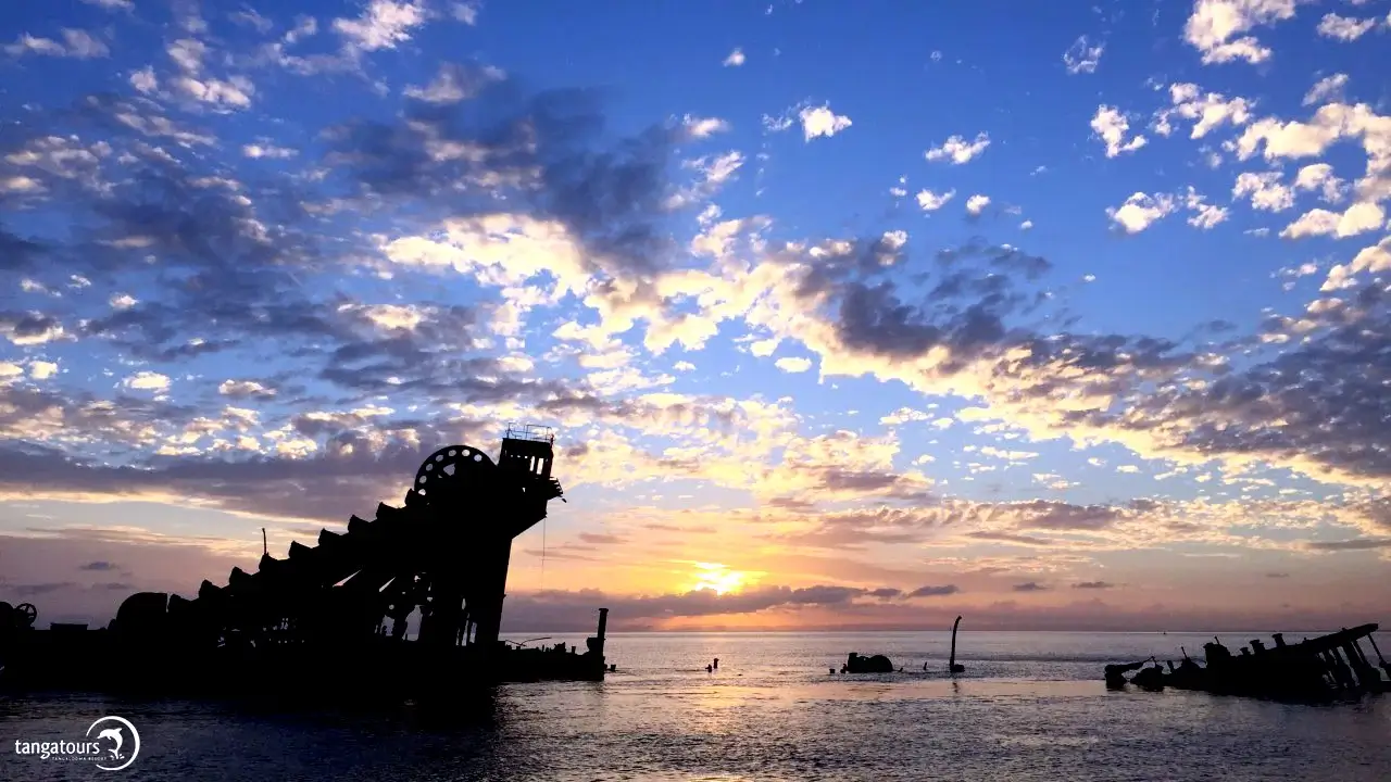 Evening Boat Cruise Tangalooma
