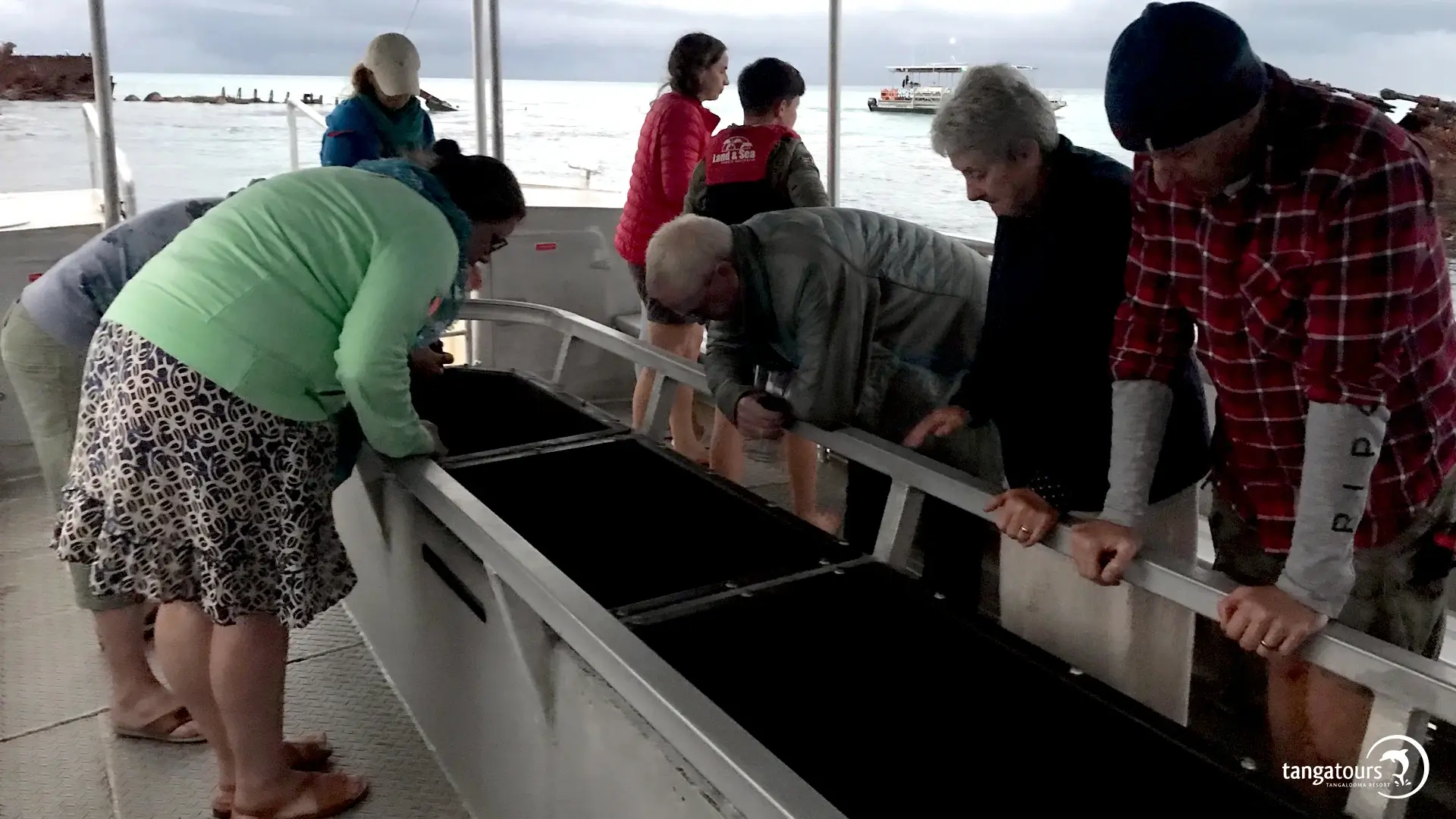 Fish Feeding Cruise Tangalooma