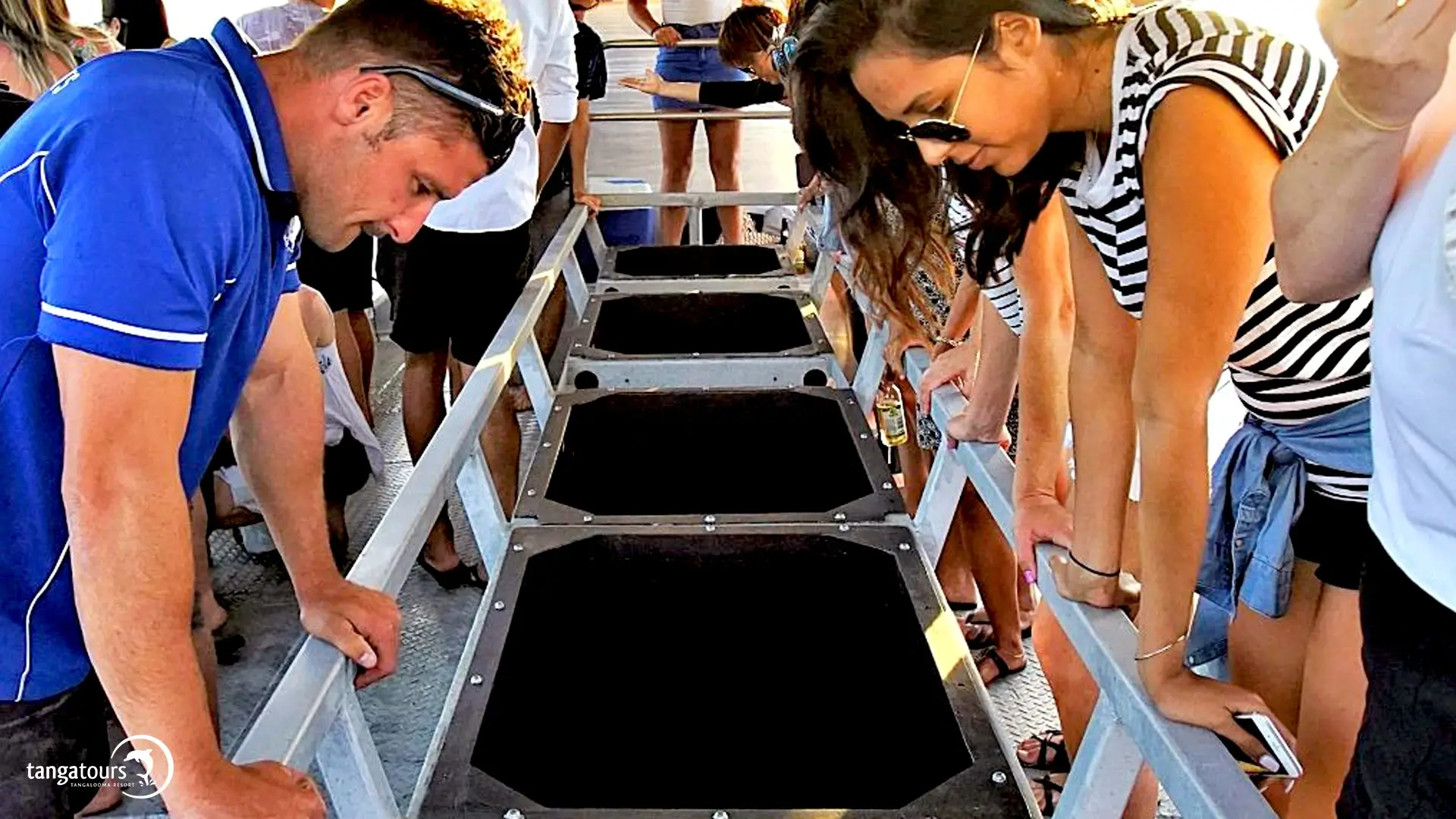 Glass Bottom Boat Tour