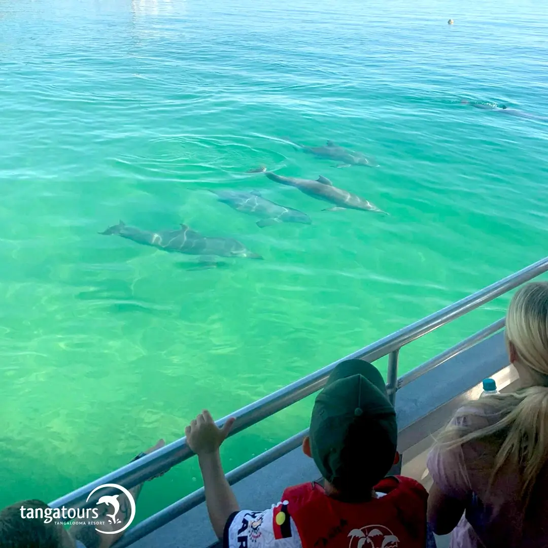 Marine Life Sightseeing QLD