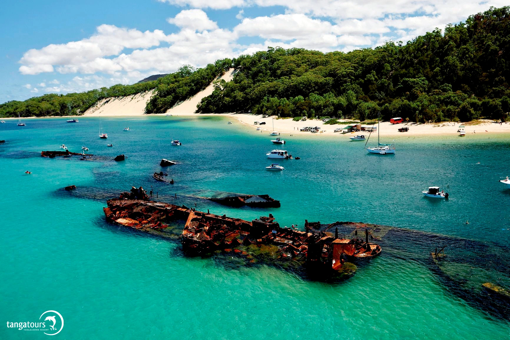 Moreton Island Marine Tour