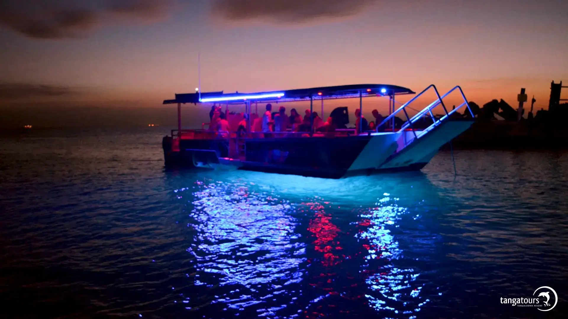 Nighttime Marine Adventure