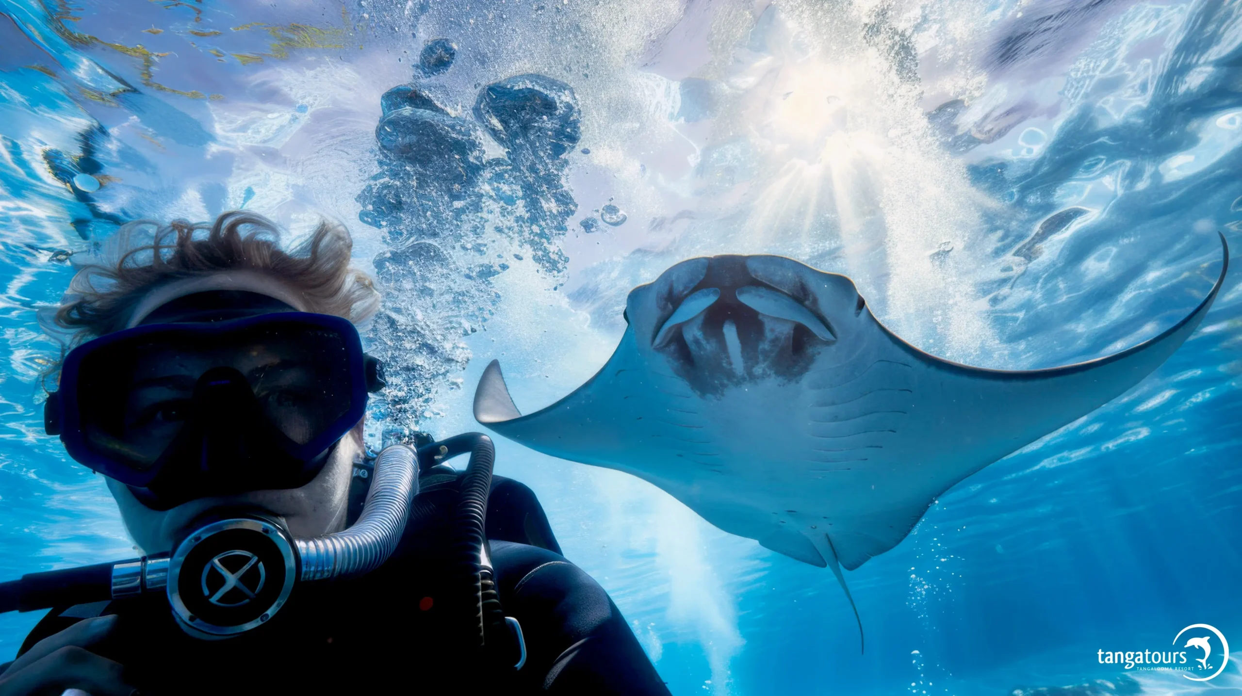 Scuba Diving Moreton Island Tangatours