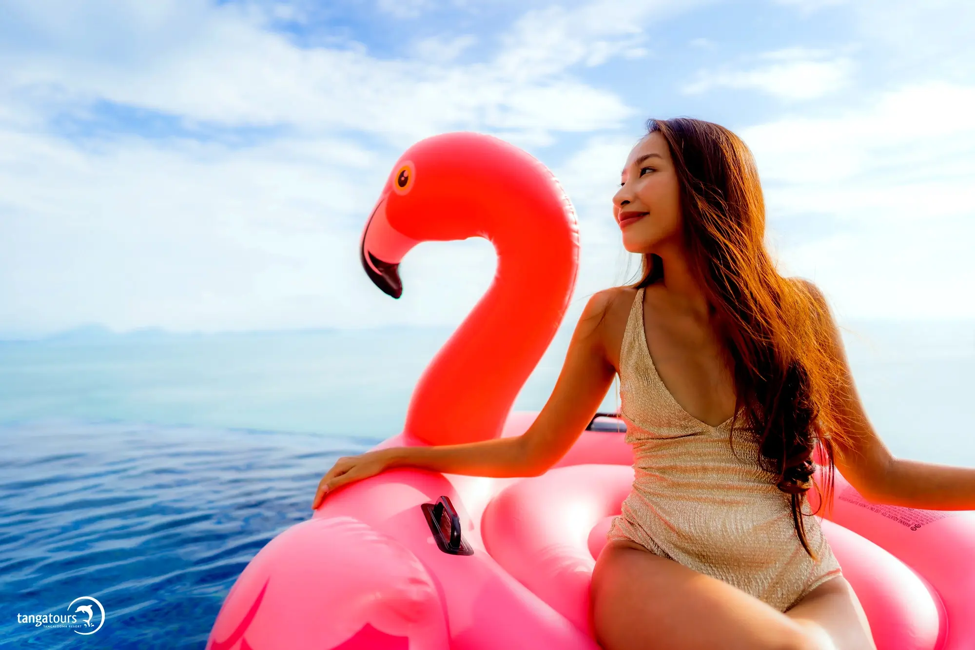 Sip and Swim Cruise
