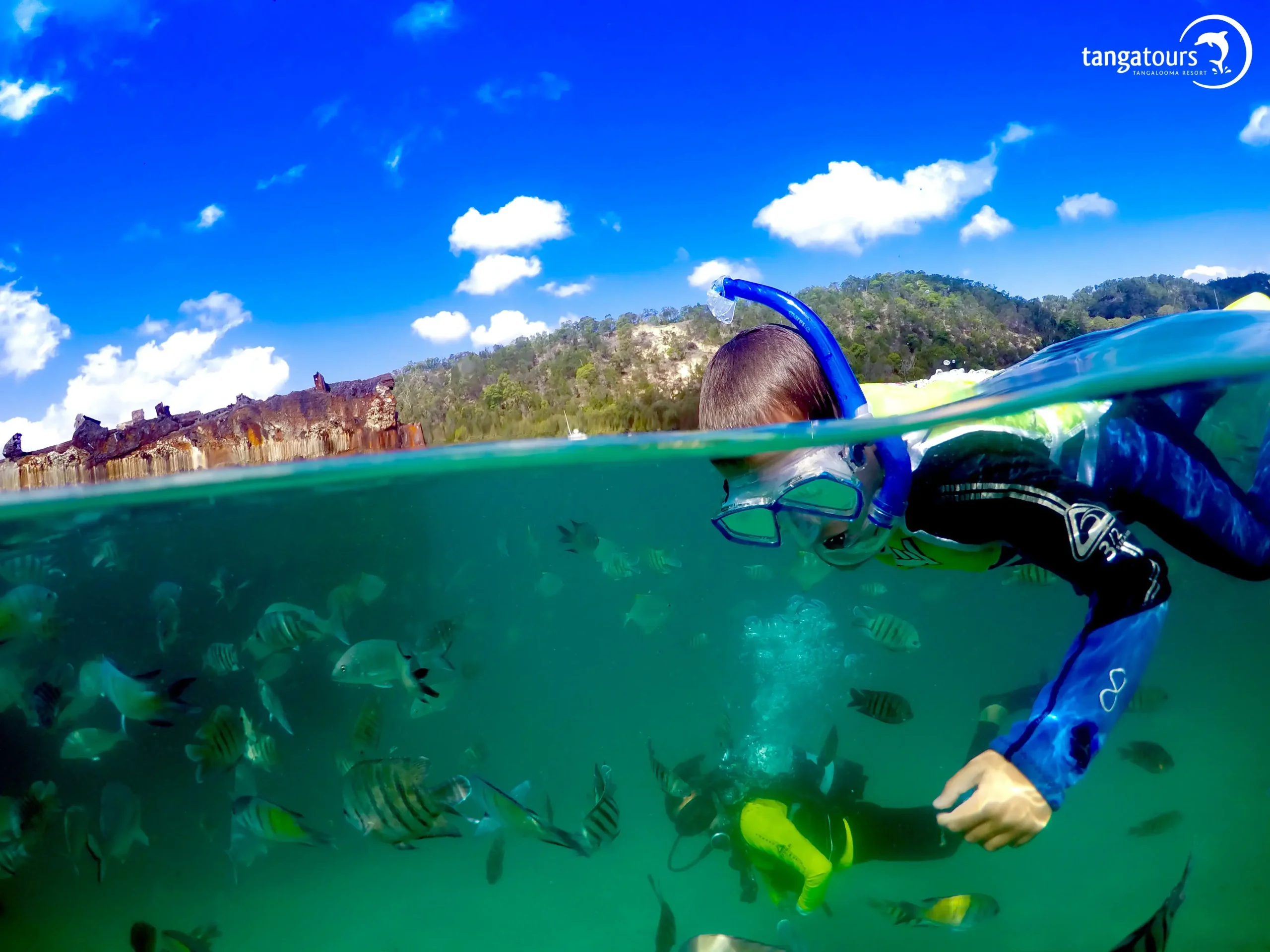Snorkelling Moreton Island Tangatours