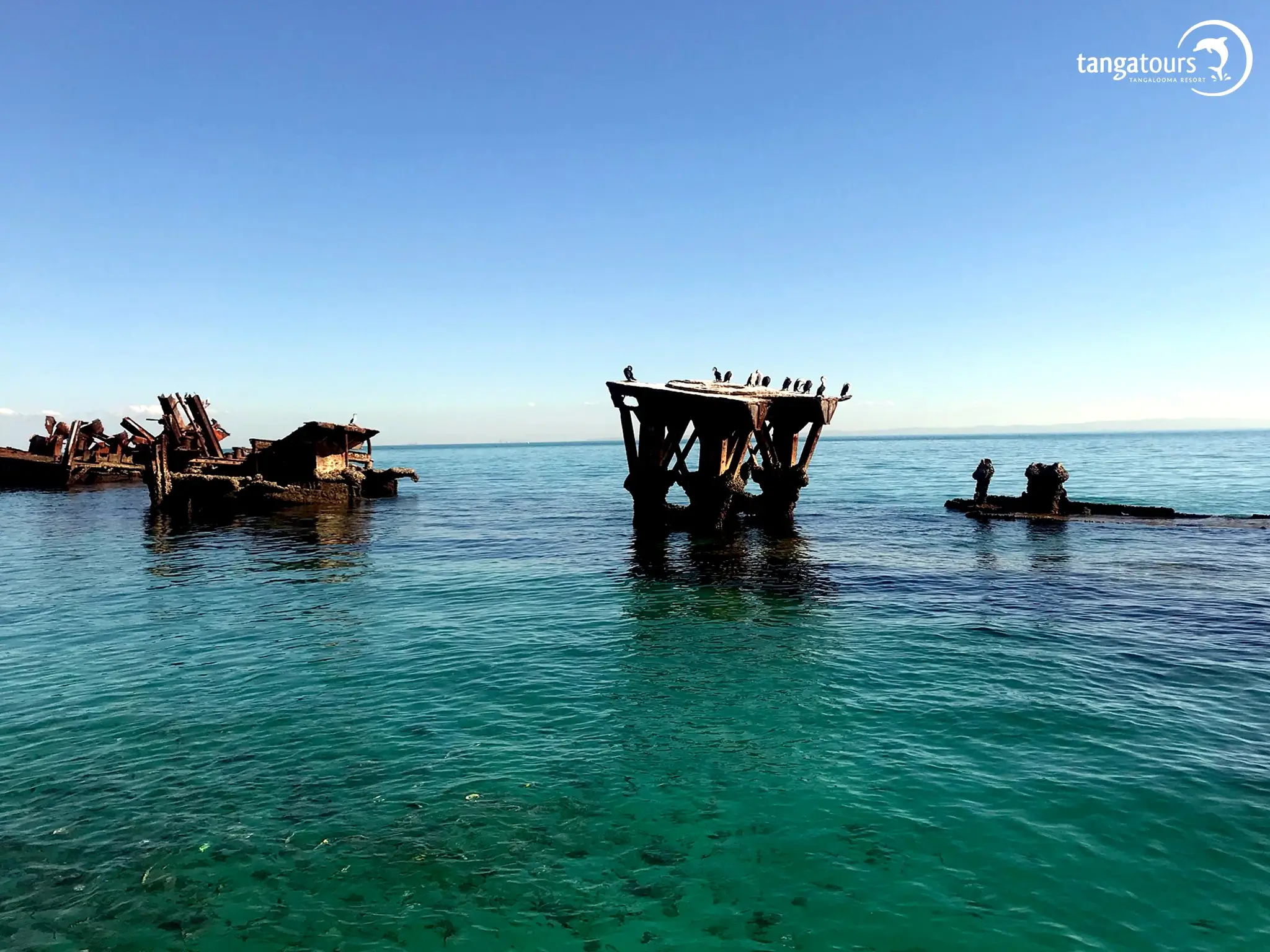 Swim Tours Moreton Island