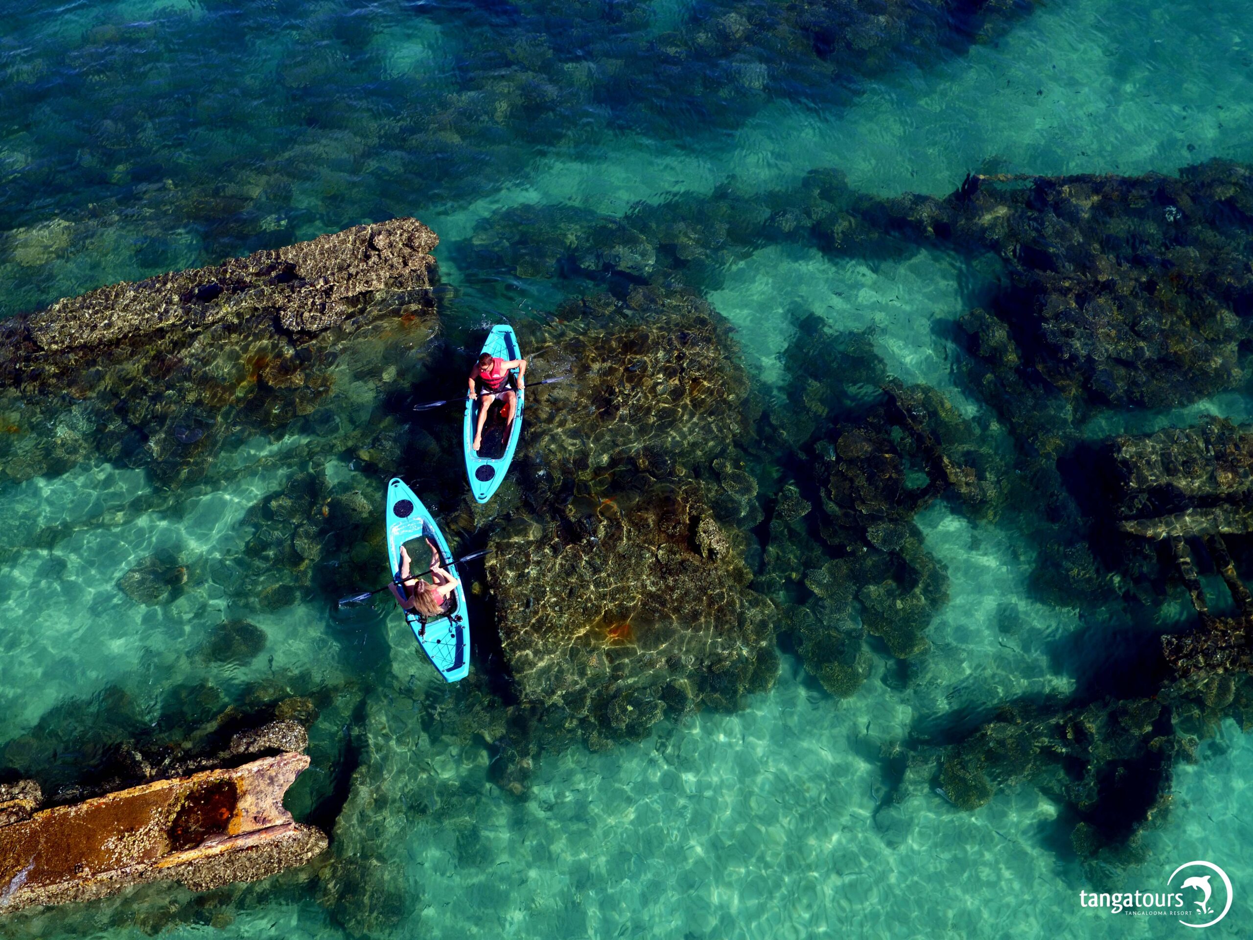 Tangalooma Clear Bottom Kayak Wildlife Tour