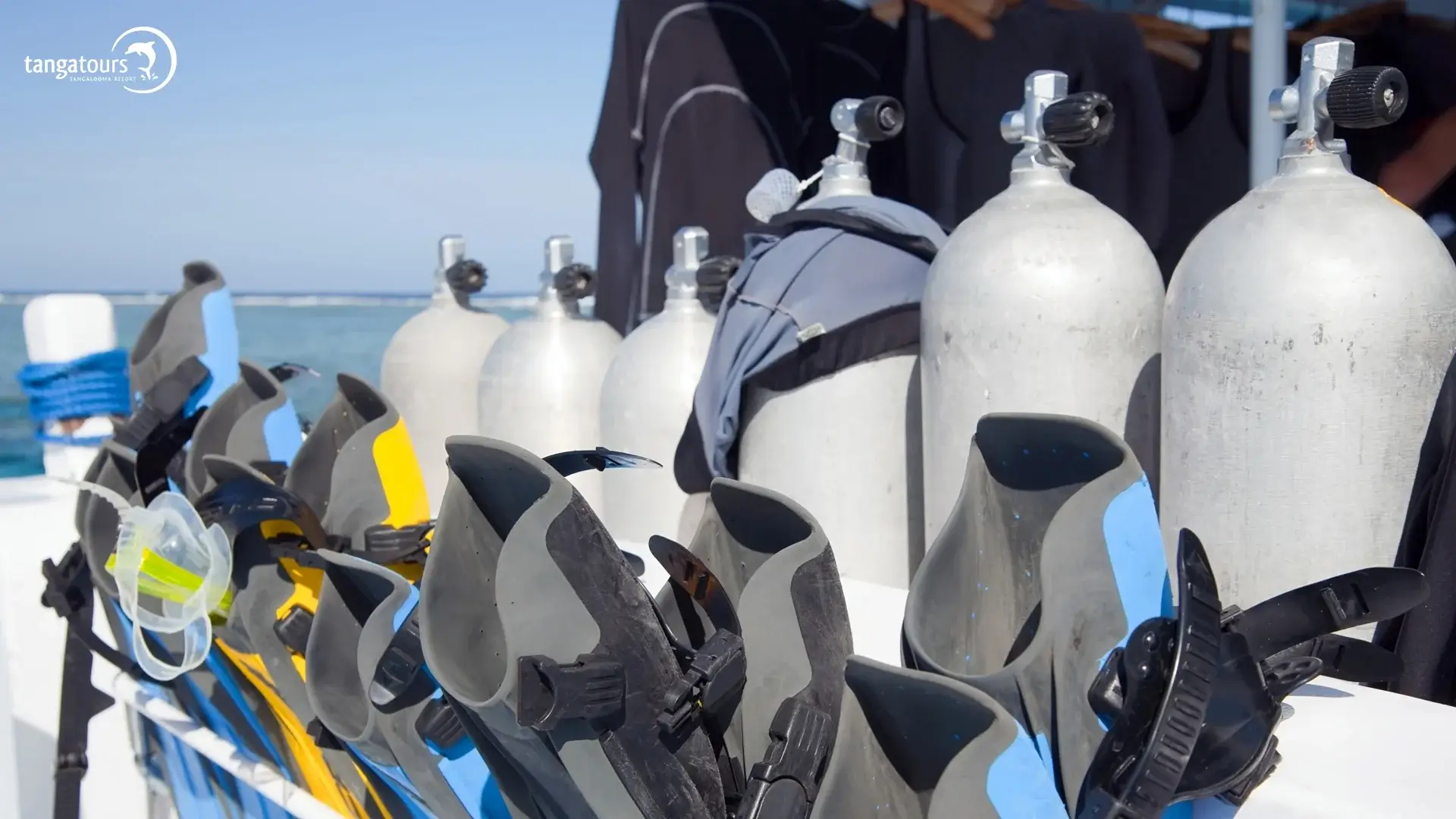 Tangalooma Scuba Diving Gear Rental Tangatours