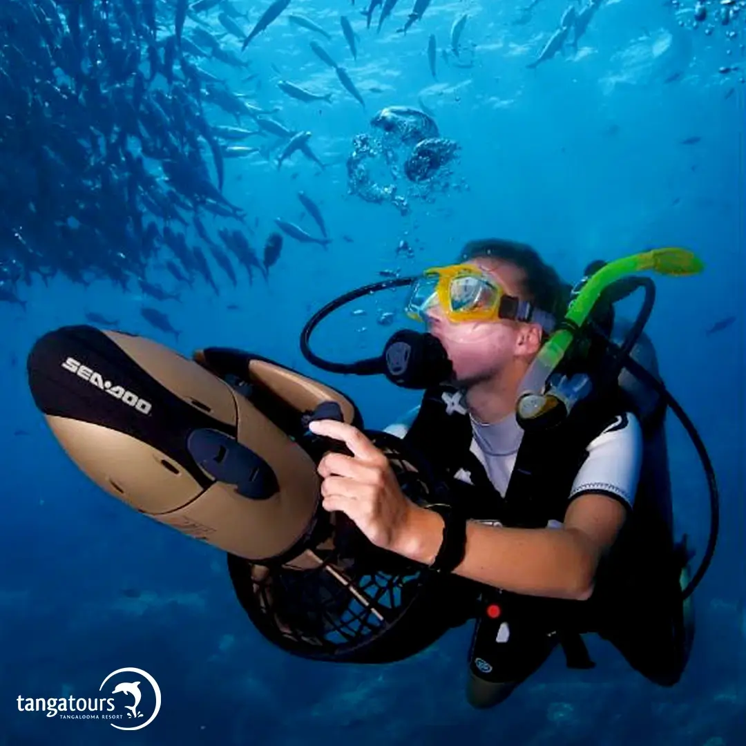 Tangalooma Sea Scooter Safari Tour Package