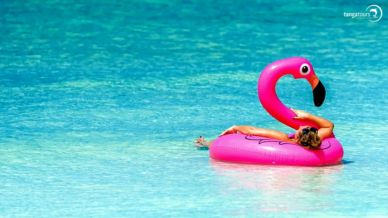 Tangalooma Swim Cruise