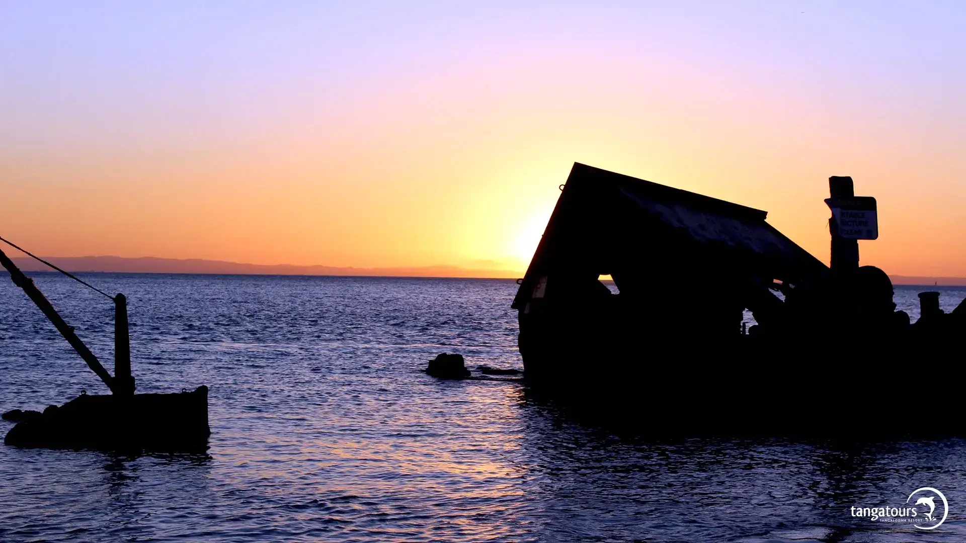 Tangalooma Wrecks Night Tour