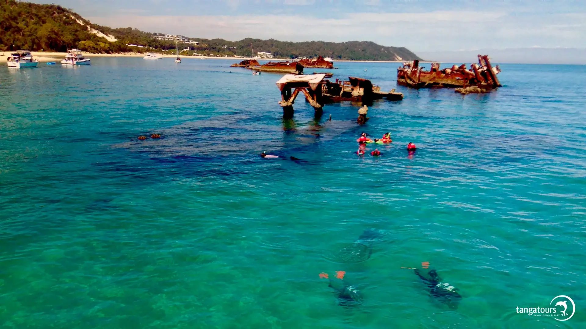Tangalooma Wrecks Snorkelling