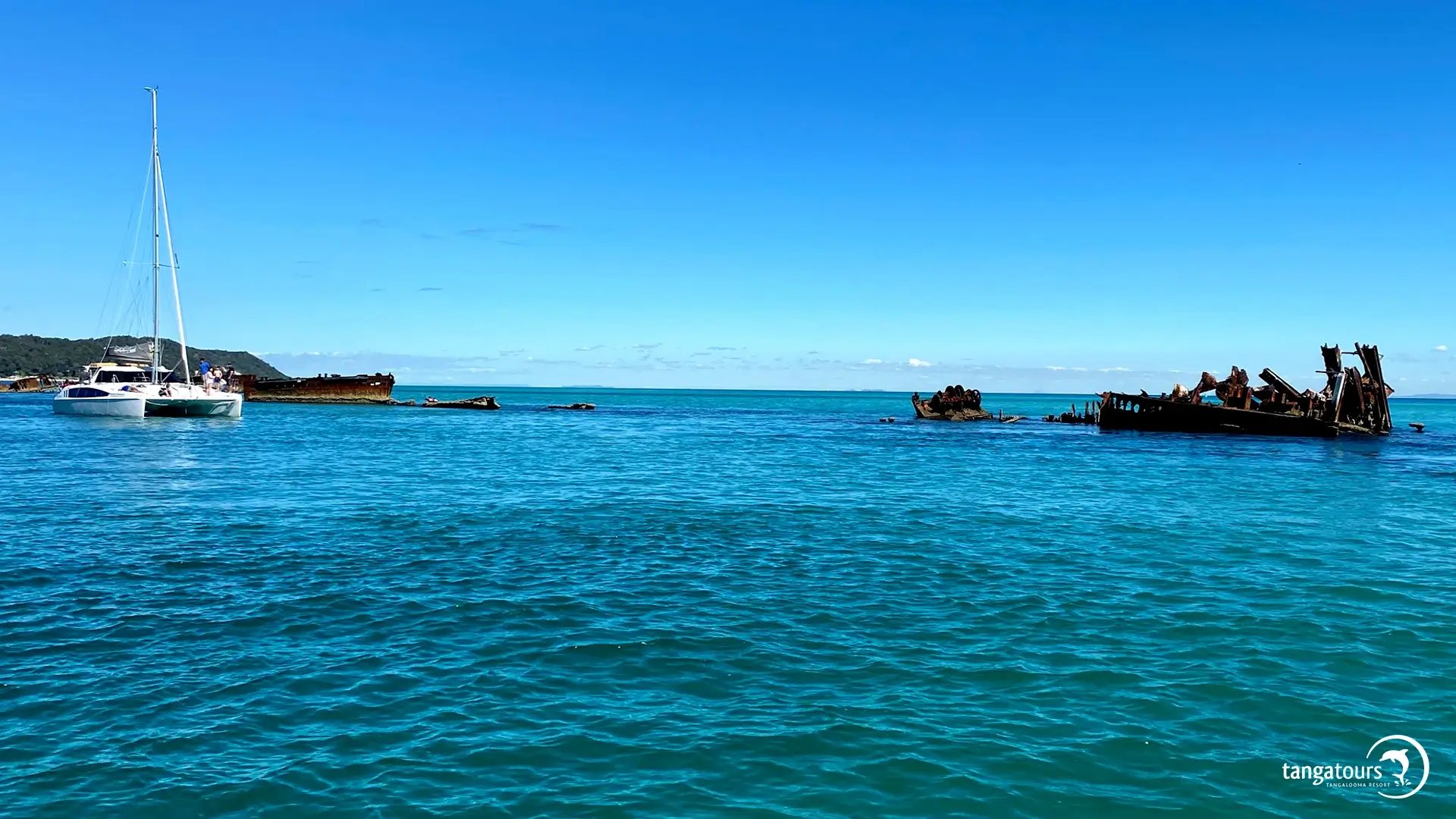 Tangalooma Wrecks Tour