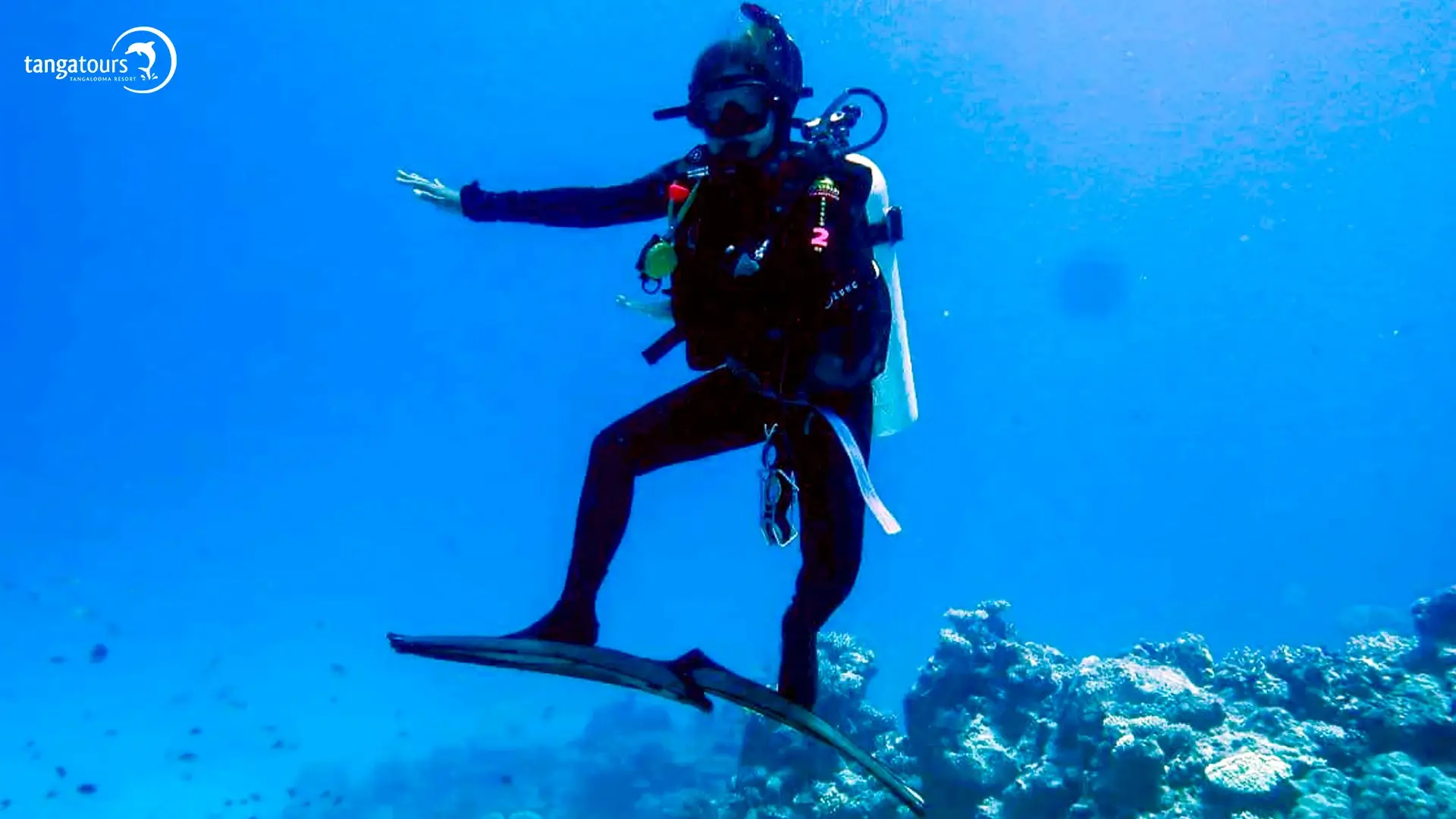Tangatours Scuba Equipment Rental Tangalooma