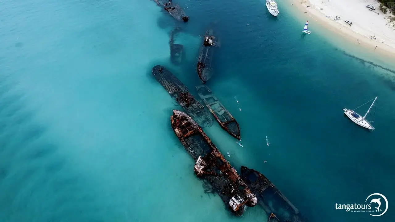 Wrecks Snorkel with Marine Life